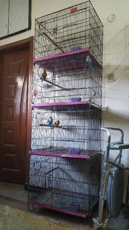 Folding cage with complete accessories for sale 6