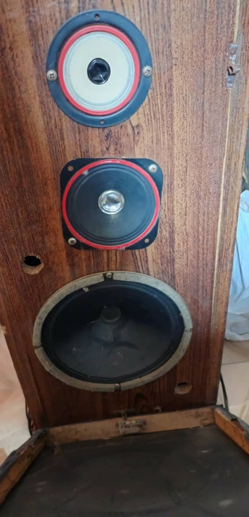 Speaker 0