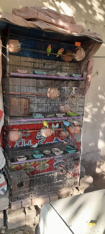 cage with birds for sale 4