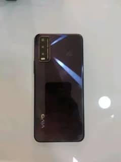 vivo