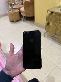 7 plus PTA