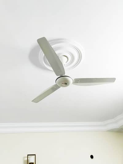 3 Royal Fans Just Like New 10 out 10 Condition For sale