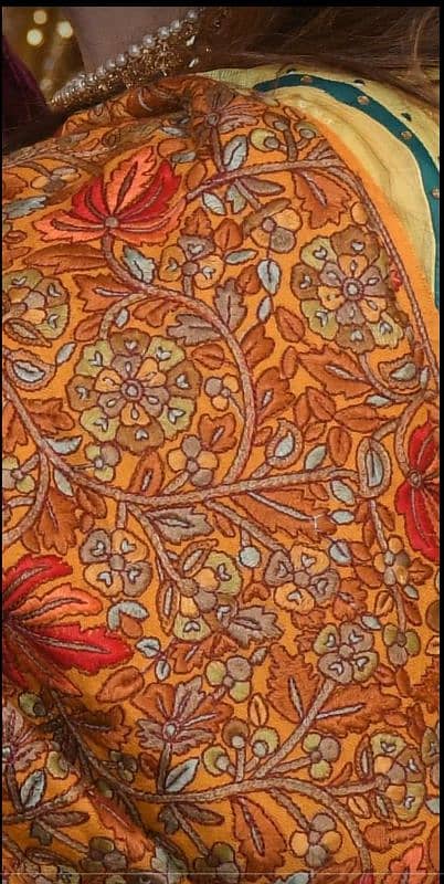 Indian Pashmina fully embroided 0