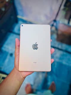 iPad mini 5