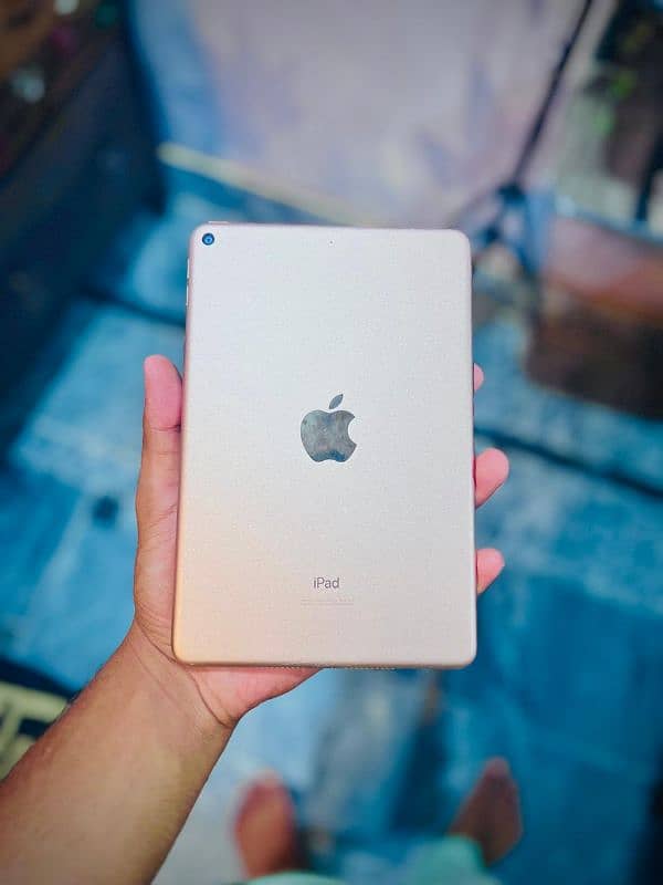 iPad mini 5 0