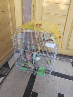 Cage For Sale