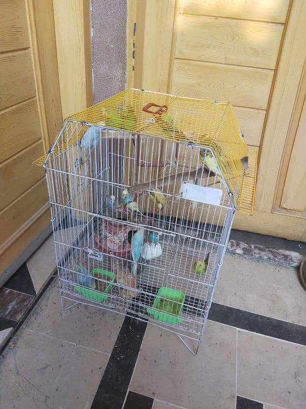 Cage For Sale 1