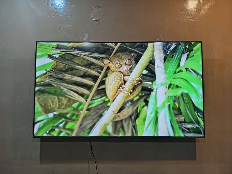 TCL 65 Inch 4K UHD TV 1