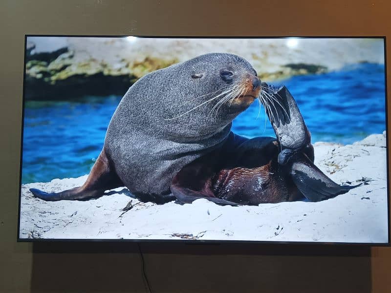 TCL 65 Inch 4K UHD TV 7