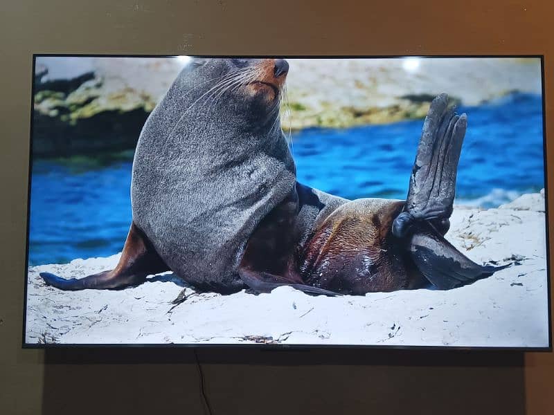 TCL 65 Inch 4K UHD TV 8