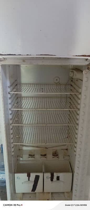 Seiko fridge 0