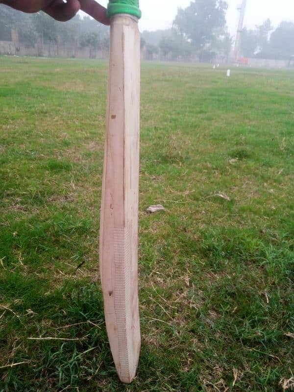 used cricket bat 0