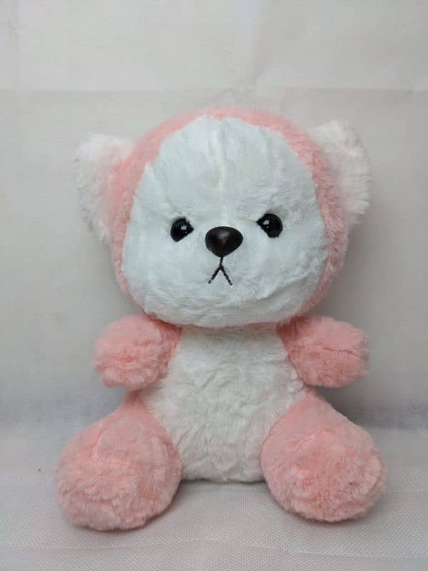 Customized Hoodie Bear/Teddy Bear / 5 colors 1