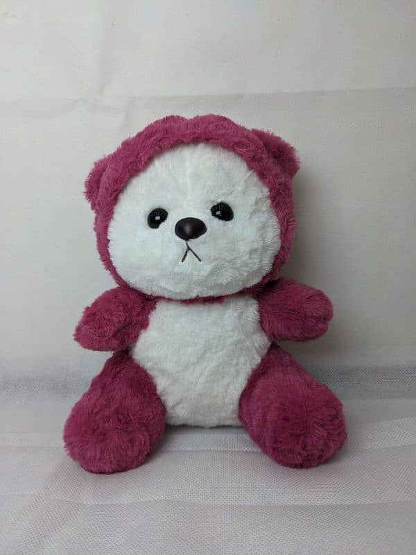 Customized Hoodie Bear /Teddy Bear / 5 colors 5