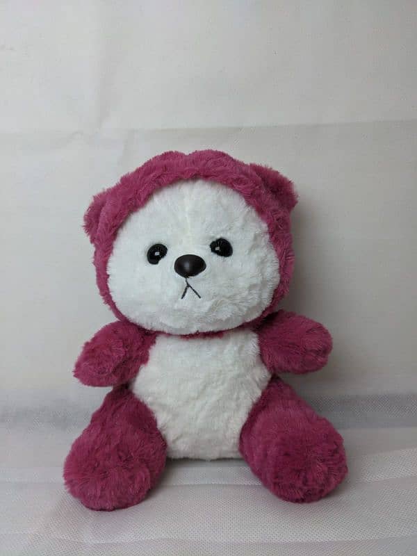 Customized Hoodie Bear /Teddy Bear / 5 colors 10