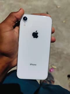 IPhone XR contact no03146298644