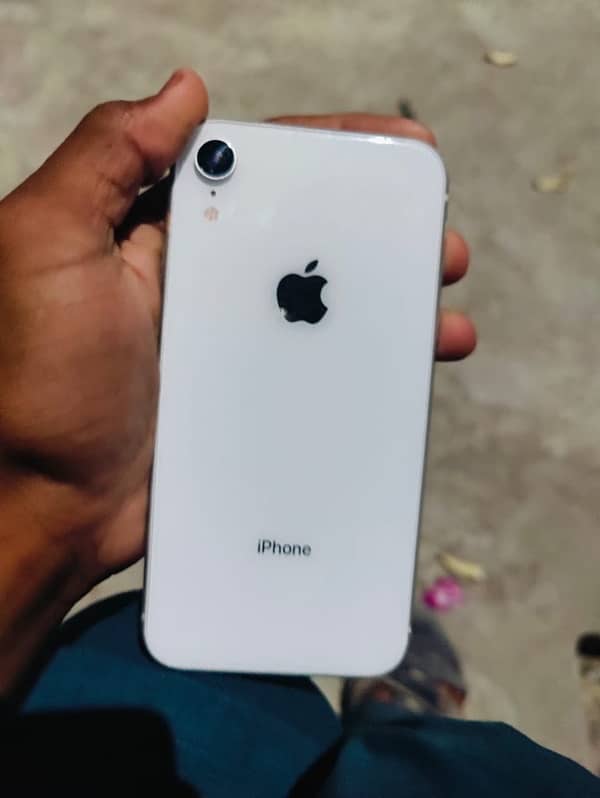 IPhone XR contact no03146298644 what number 0