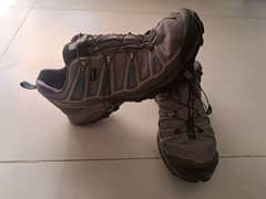 salomon trekking shoes.