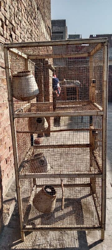 Parrots Cage Full iron 0