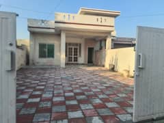 8 Marla Single story house for rent