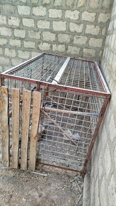 cage 4×6 pinjra 0