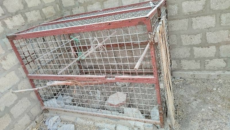 cage 4×6 pinjra 1