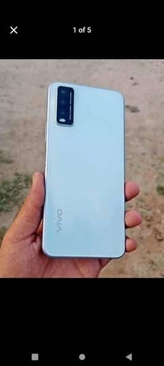 vivo