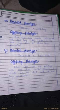 handwriting