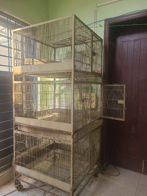 Cage with trays 1