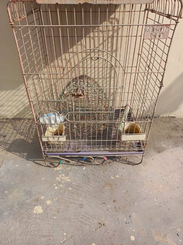 Birds Cage 1