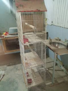 Birds cage