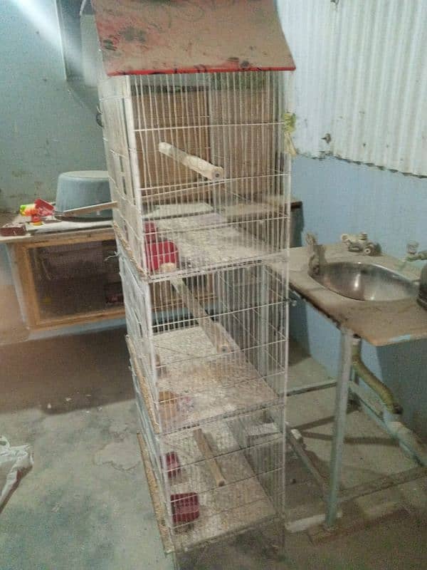 Birds cage 0