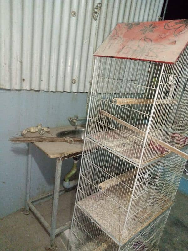 Birds cage 1