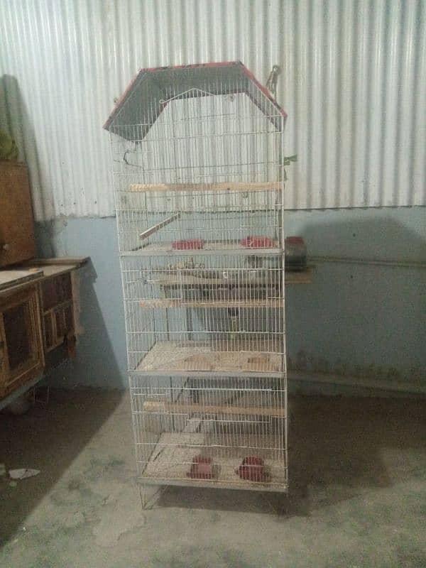 Birds cage 2