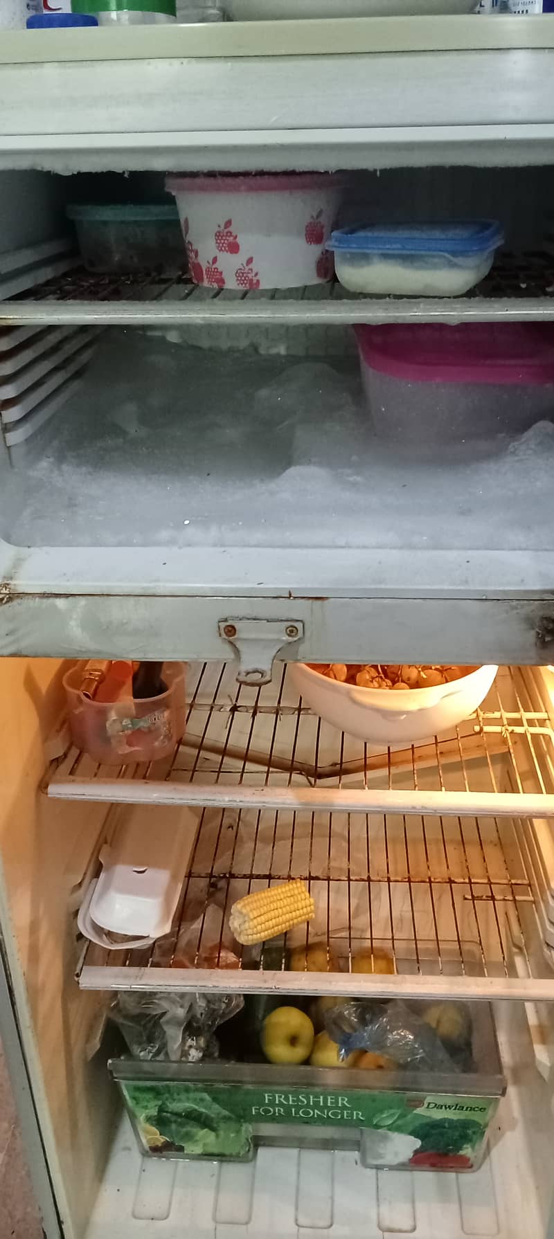 Urgent sale medium size pel refrigerator 3