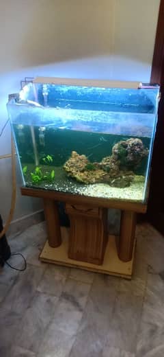 2 ft Aquarium with DIY cannister Filter