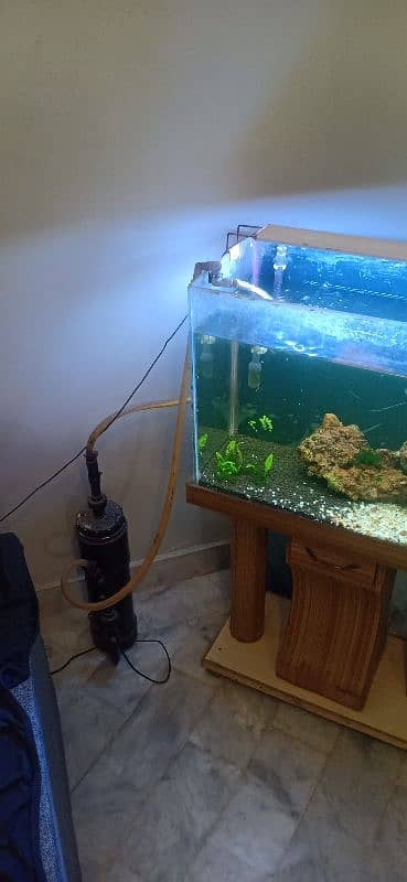 2 ft Aquarium with DIY cannister Filter 1