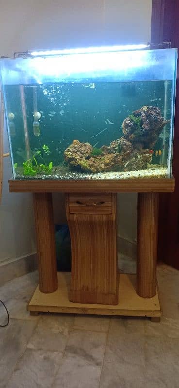 2 ft Aquarium with DIY cannister Filter 6