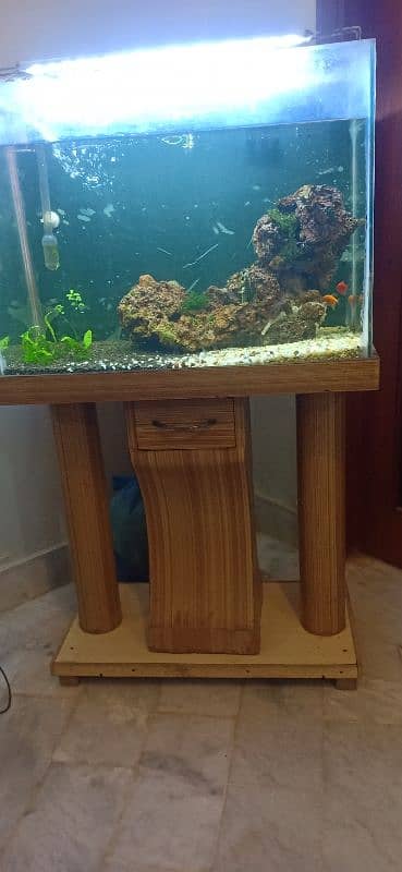 2 ft Aquarium with DIY cannister Filter 7