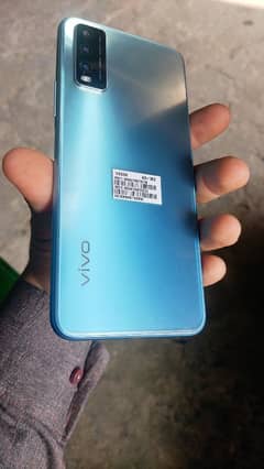 vivo