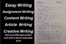 professional handwritting services for assingments & projects