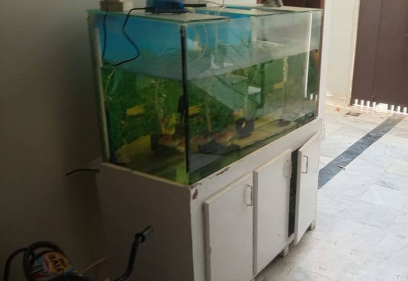 3.5 ft Aquarium with wooden stand with cupboard 1