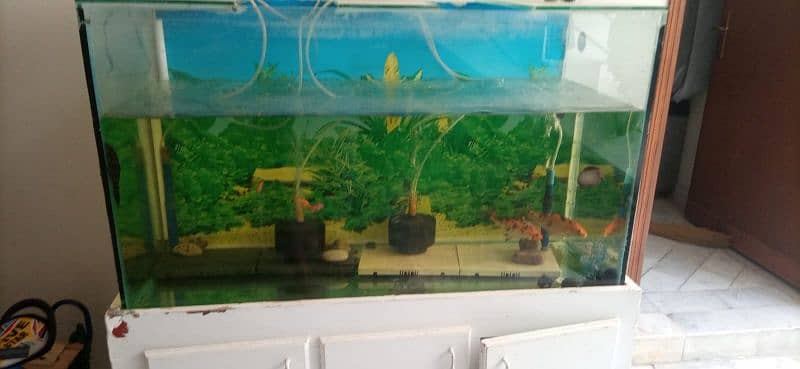 3.5 ft Aquarium with wooden stand with cupboard 5