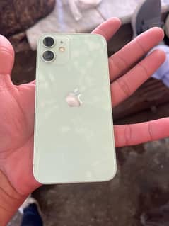 iphone12 mini 10 by 10