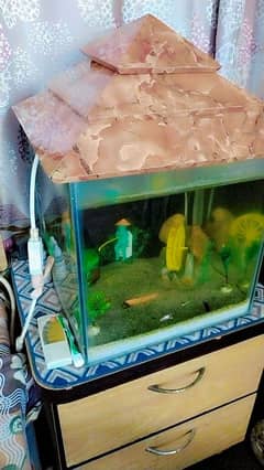 fish aquarium for sale