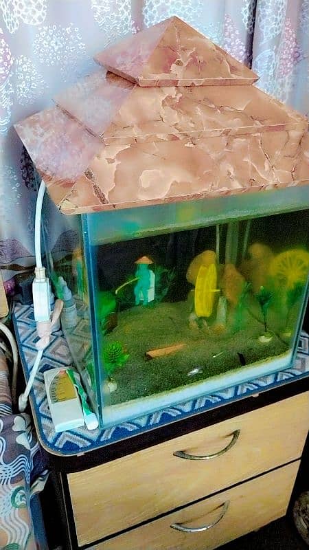 fish aquarium for sale 0