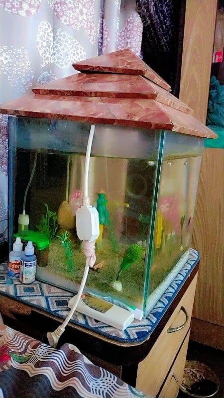 fish aquarium for sale 1