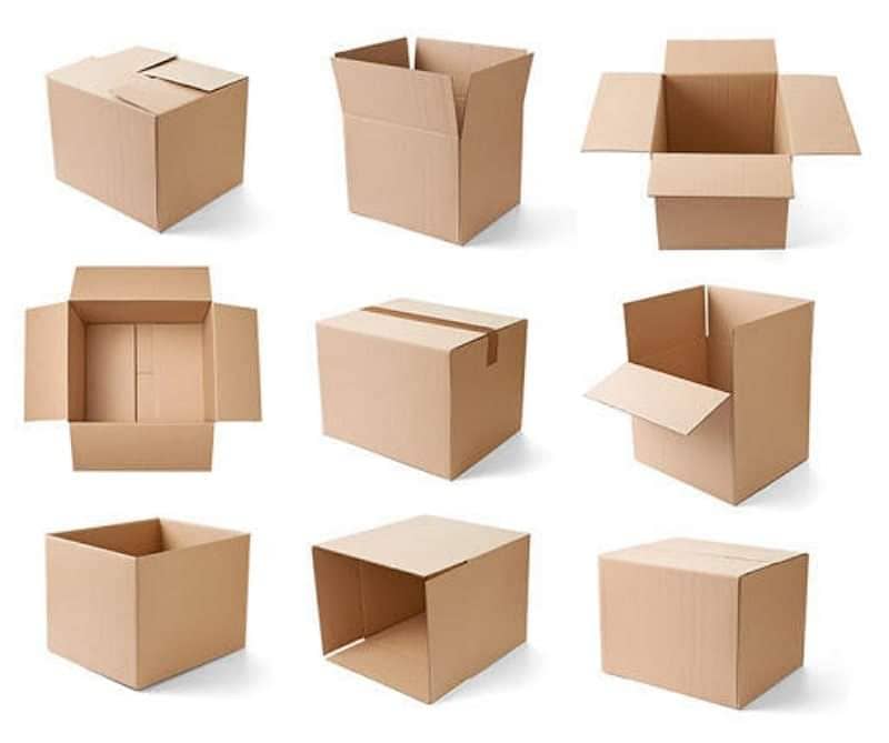 Corrugated Carton Boxes / Pizza boxes / Packaging box 0