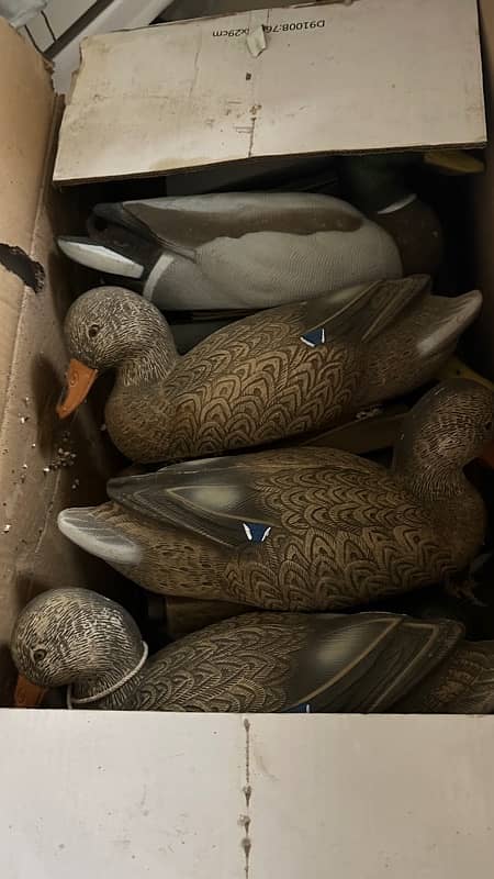 duck decoys 4