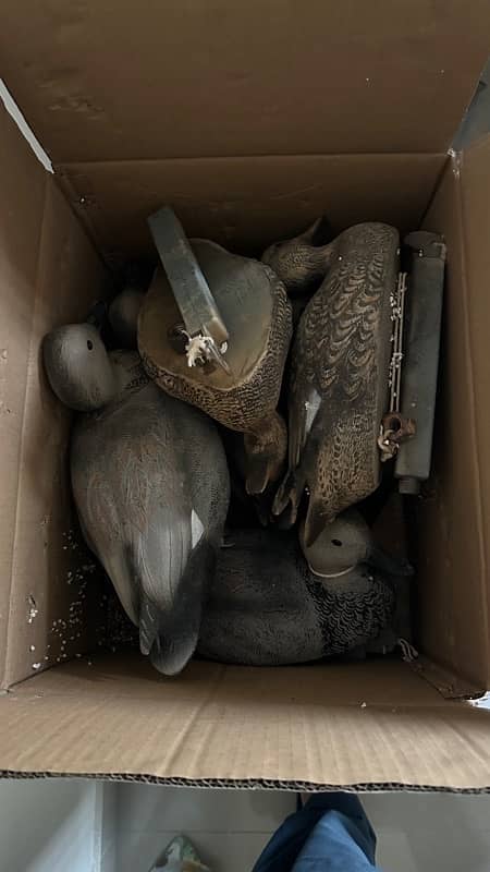 duck decoys 5